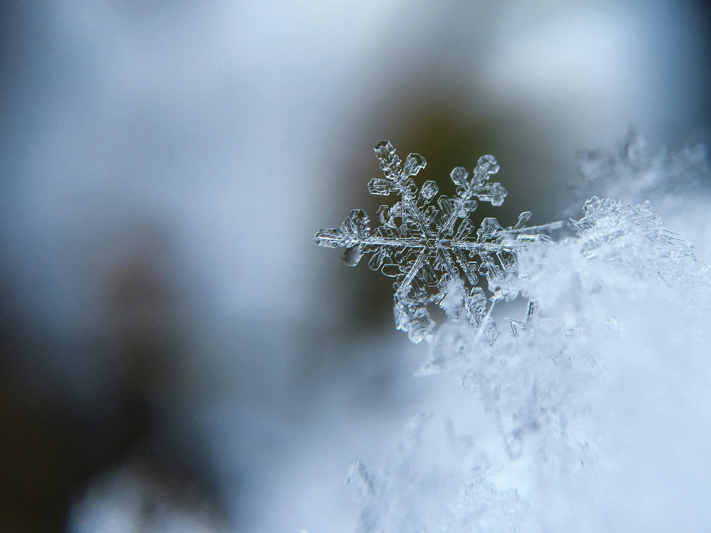Stretched Canvas: focused photo of a snow flake – Aaron Burden (Unsplash)