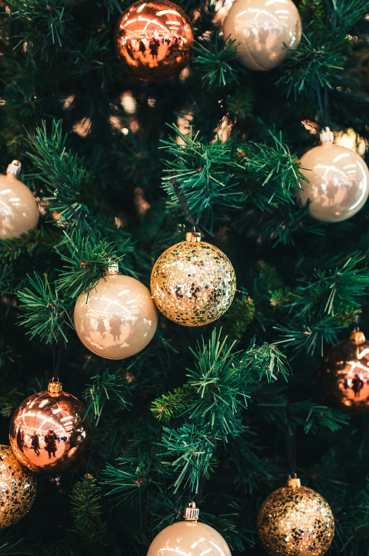 Stretched Canvas: silver baubles on green christmas tree – Hert Niks (Unsplash)