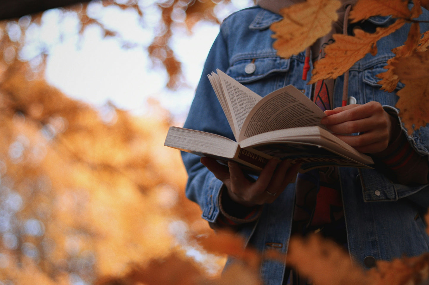 Poster: a person holding a book in their hands – anotherxlife (Unsplash)