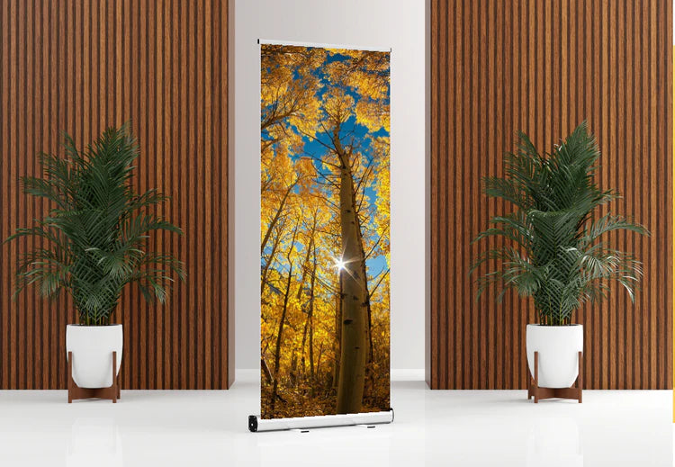 Roll-Up Banner Stand (33" x 85") with Printing