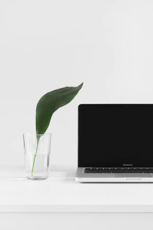 Poster: MacBook Pro beside plant in vase – Sarah Dorweiler (Unsplash)