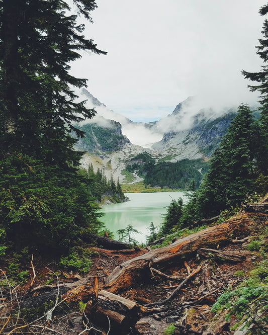 Stretched Canvas: lake water scenery – Yoshi Takekawa (Unsplash)