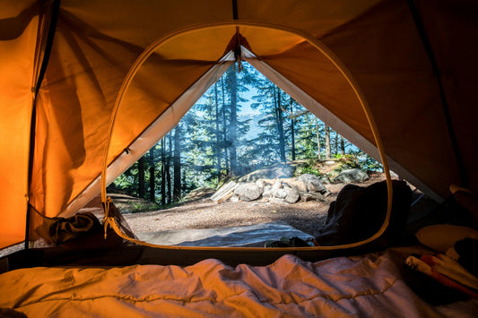 Stretched Canvas: orange camping tent near green trees – Scott Goodwill (Unsplash)