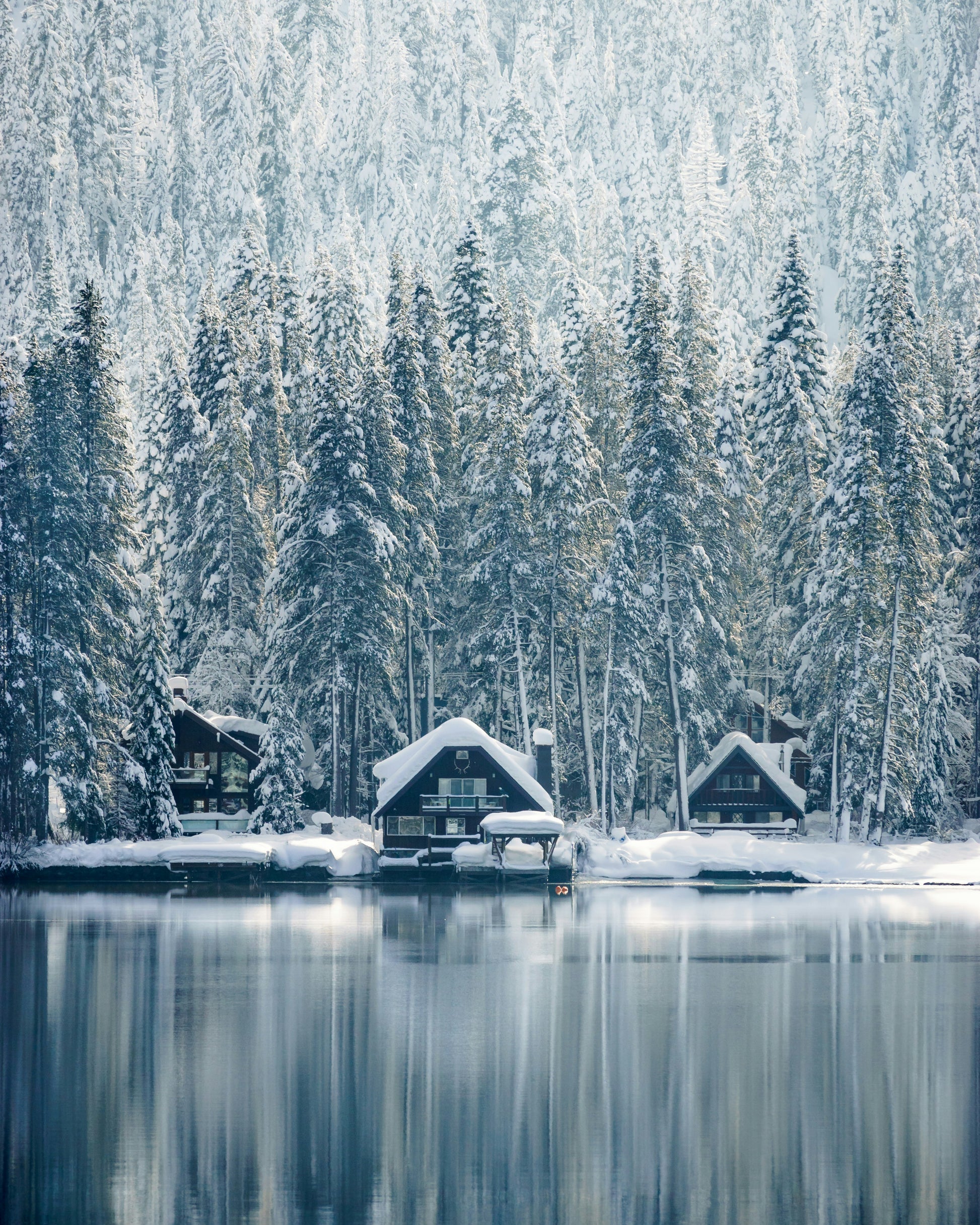 Poster: houses covered with snow near trees – Long Luc (Unsplash)