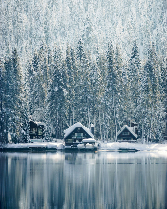 Stretched Canvas: houses covered with snow near trees – Long Luc (Unsplash)