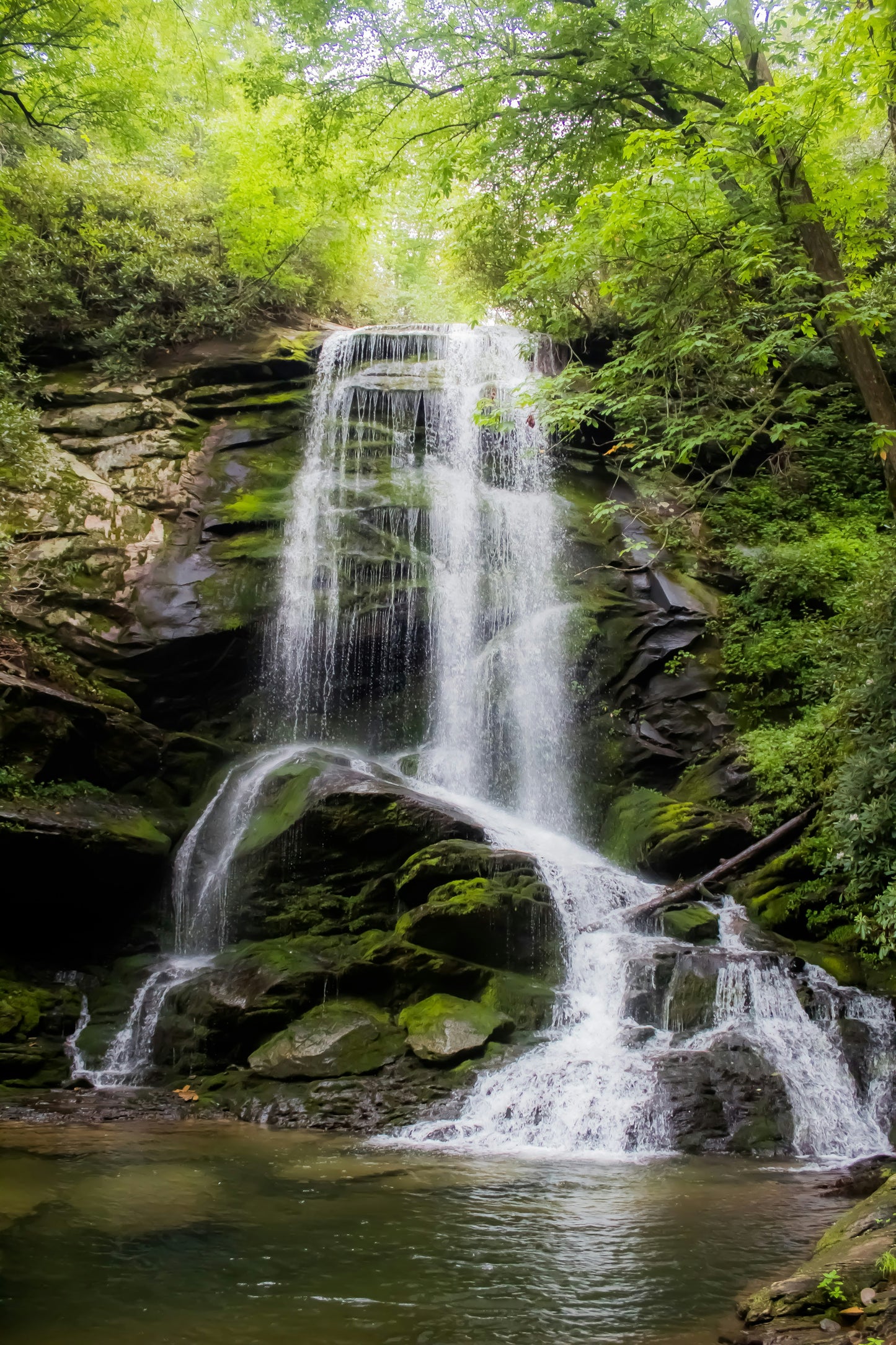 Stretched Canvas: waterfalls between green trees – Nicole King (Unsplash)