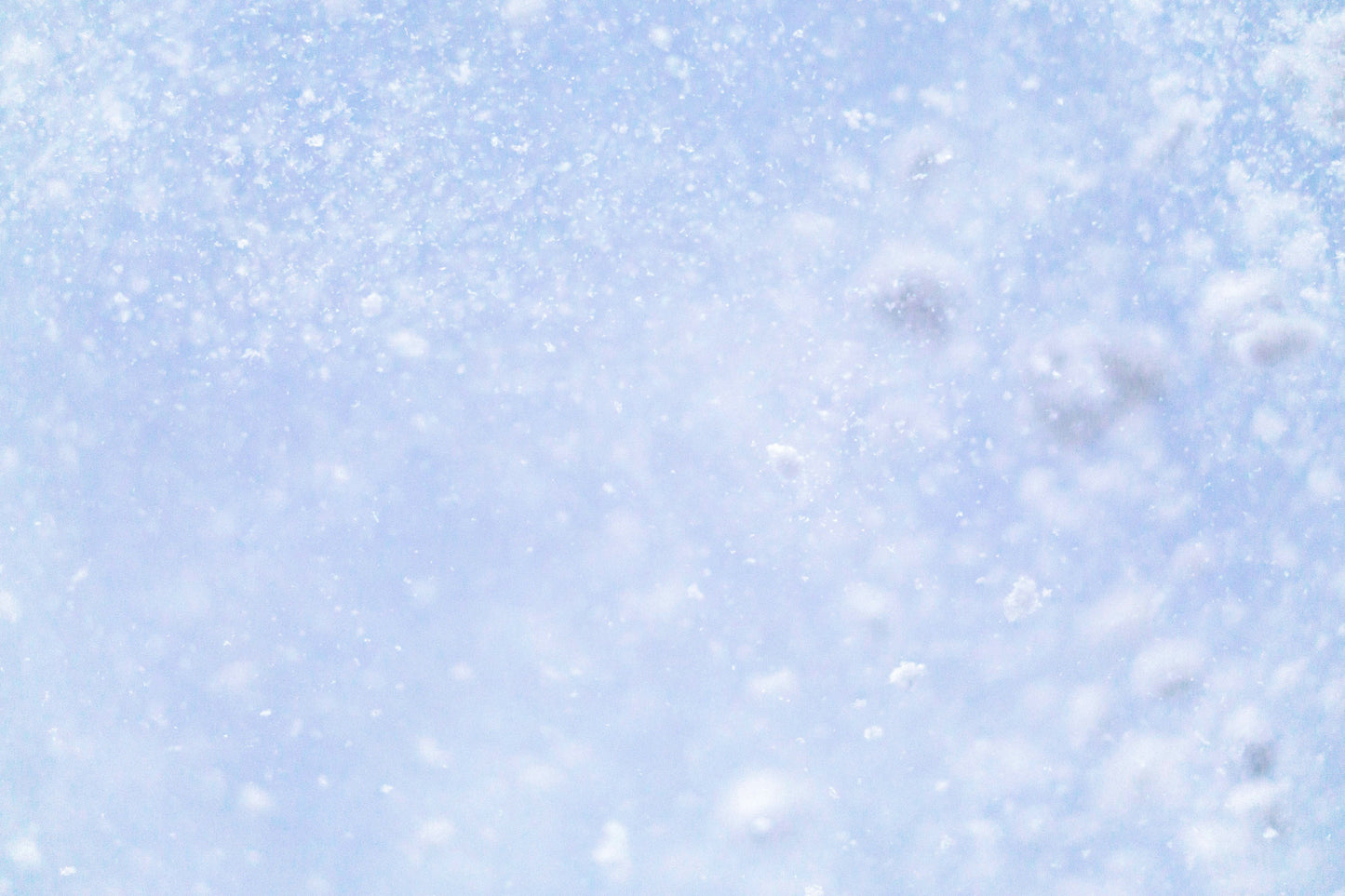Poster: a close up of a snow flakes on a blue sky – geissht (Unsplash)