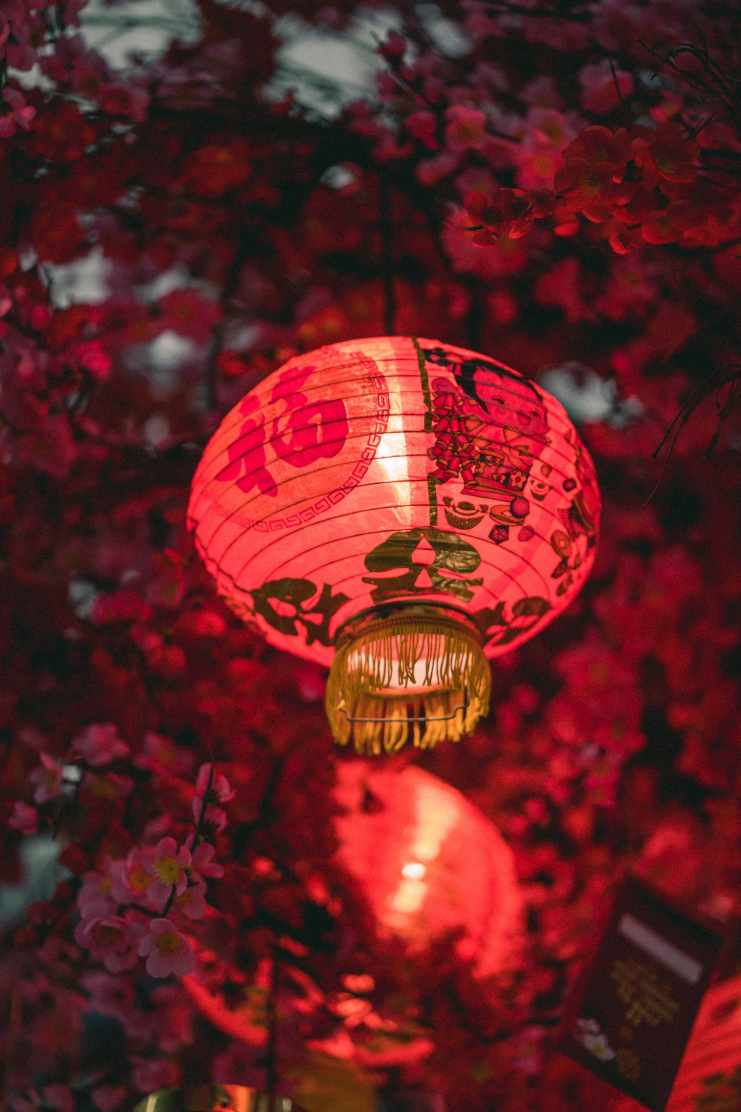 Poster: red and yellow paper lantern – Sahil Pandita (Unsplash)