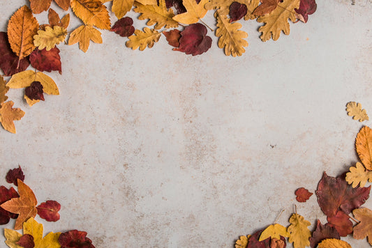 Stretched Canvas: dried leaves on white concrete floor – Marion Botella (Unsplash)
