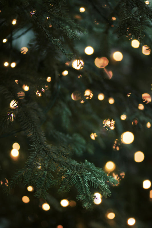 Stretched Canvas: green christmas tree with string lights – Morgane Le Breton (Unsplash)