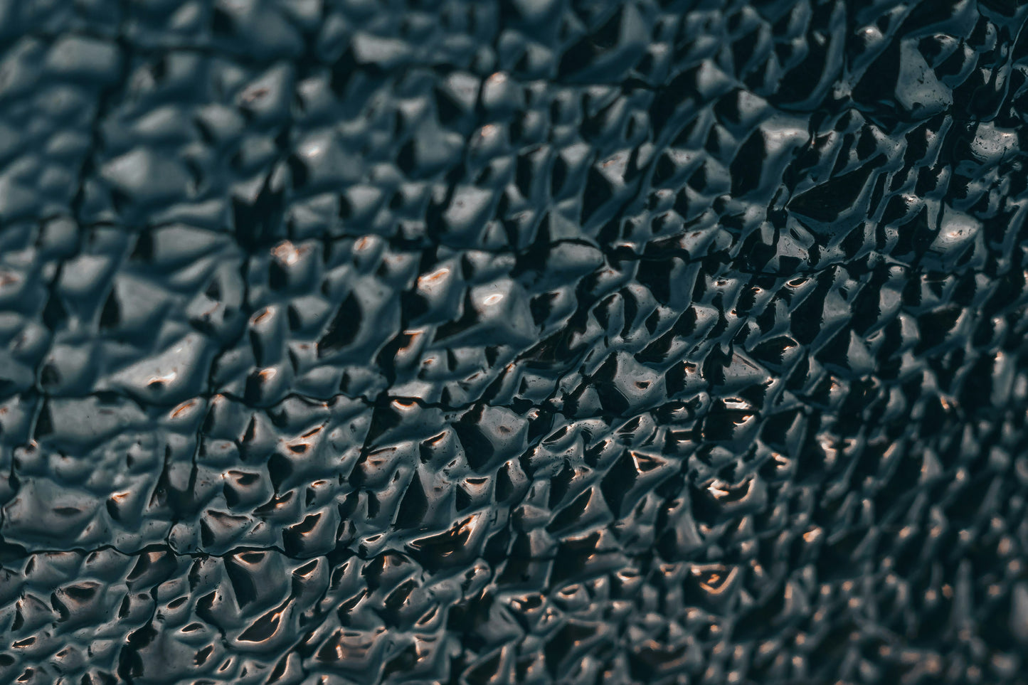 Poster: a large group of fish – Emanuel Haas (Unsplash)