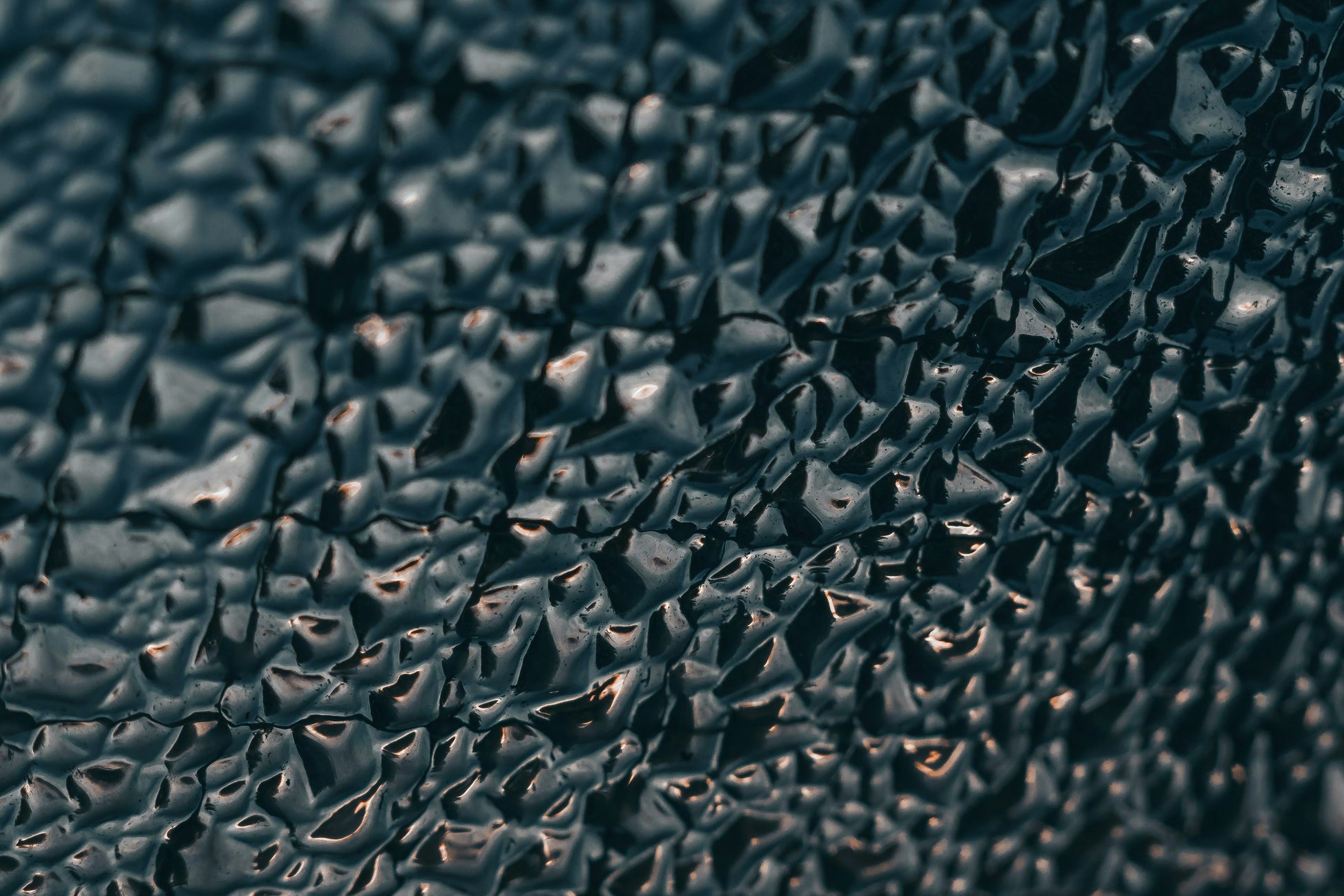Poster: a large group of fish – Emanuel Haas (Unsplash)